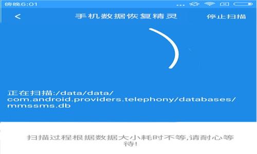大陆如何安全下载TP钱包,规避风险指南