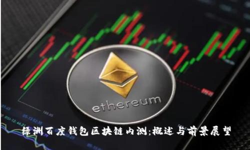 绿洲百度钱包区块链内测:概述与前景展望