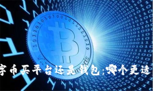 : 数字币买平台还是钱包:哪个更适合你?