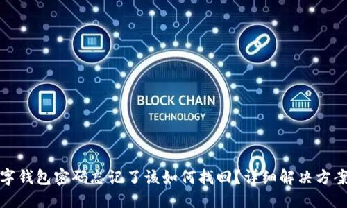 中行数字钱包密码忘记了该如何找回?详细解决方案与步骤