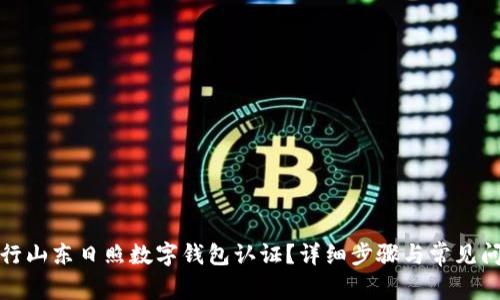 如何进行山东日照数字钱包认证?详细步骤与常见问题解答
