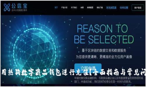 如何使用热狗数字藏品钱包进行充值?全面指南与常见问题解析