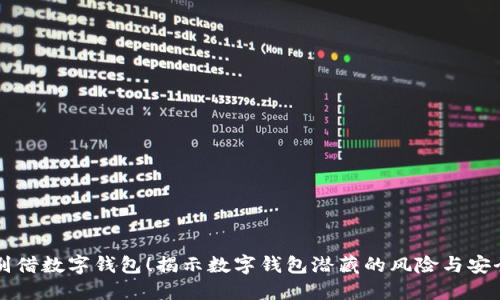 千万别借数字钱包!揭示数字钱包潜藏的风险与安全隐患