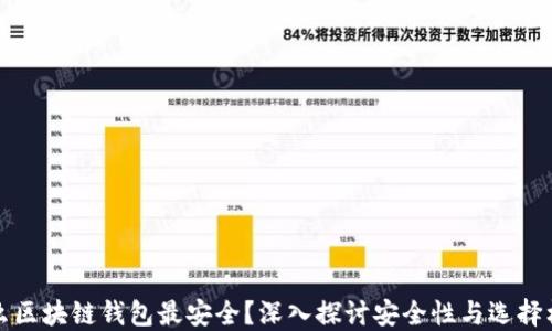 
什么区块链钱包最安全？深入探讨安全性与选择标准