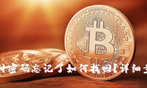 TP钱包支付密码忘记了如何找回?详细步骤与提示