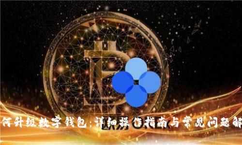 如何升级数字钱包:详细操作指南与常见问题解答
