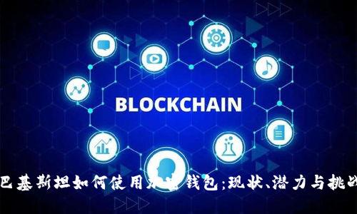 巴基斯坦如何使用加密钱包：现状、潜力与挑战