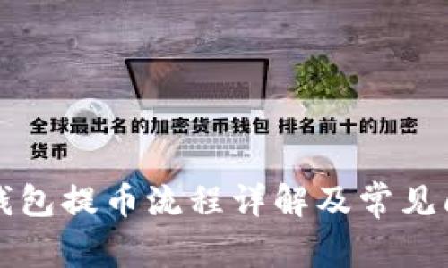 TP观察钱包提币流程详解及常见问题解析