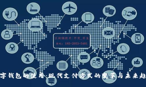 数字钱包的使用:现代支付方式的变革与未来趋势