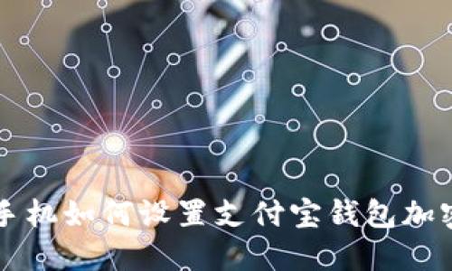 苹果手机如何设置支付宝钱包加密保护