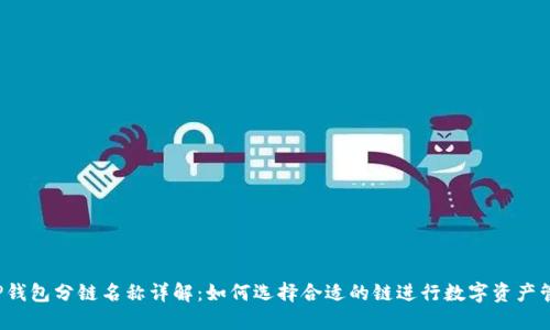 TP钱包分链名称详解:如何选择合适的链进行数字资产管理