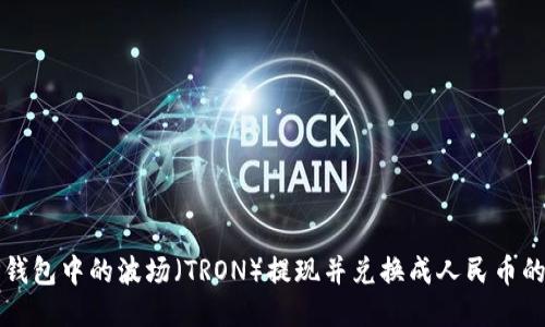 如何将TP钱包中的波场(TRON)提现并兑换成人民币的详细指南