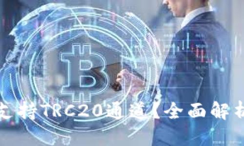 可以设置为:
TP钱包是否支持TRC20通道?全面解析与使用指南