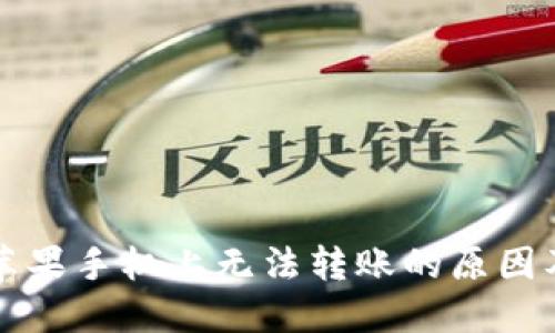 TP钱包在苹果手机上无法转账的原因及解决方法