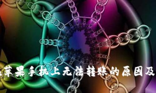 TP钱包在苹果手机上无法转账的原因及解决方法
