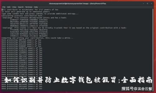 如何识别并防止数字钱包被假冒:全面指南