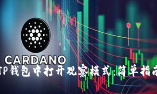 如何在TP钱包中打开观察模式：简单指南与技巧