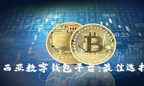 2023年马来西亚数字钱包平台:最佳选择与发展趋势