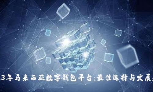 2023年马来西亚数字钱包平台:最佳选择与发展趋势