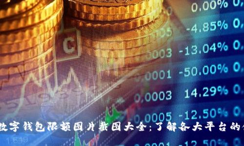 bianoti数字钱包限额图片截图大全：了解各大平台的使用限制