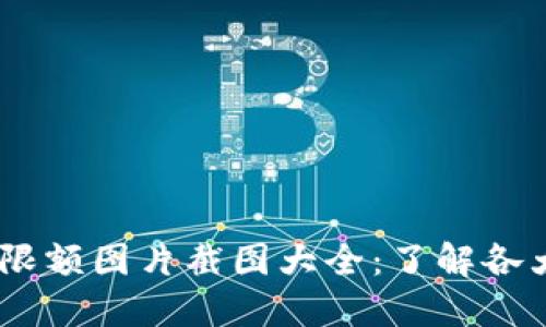 bianoti数字钱包限额图片截图大全：了解各大平台的使用限制