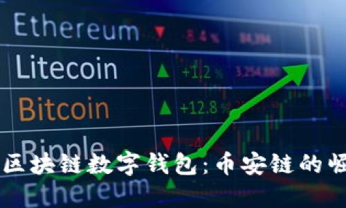 深入探索区块链数字钱包:币安链的崛起与应用