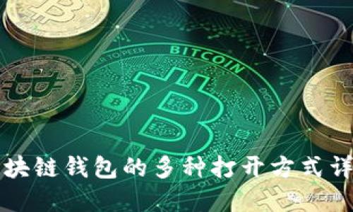 区块链钱包的多种打开方式详解