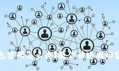 忘记香港最新数字钱包密码怎么办？教你快速找回密码的实用技巧和建议