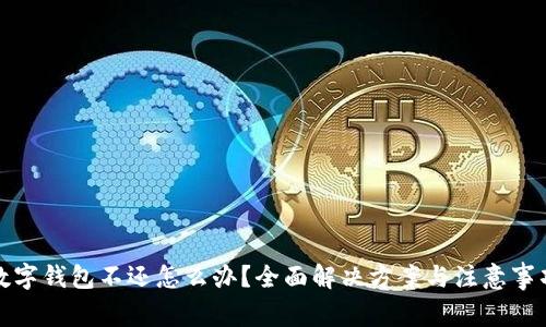 数字钱包不还怎么办？全面解决方案与注意事项