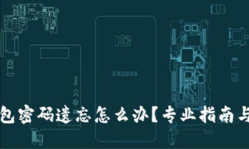 区块链钱包密码遗忘怎么办？专业指南与解决方案