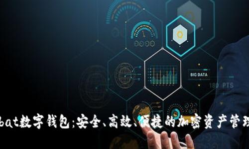 Wombat数字钱包：安全、高效、便捷的加密资产管理工具