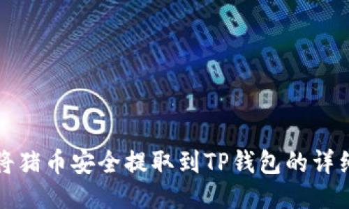 如何将猪币安全提取到TP钱包的详细指南