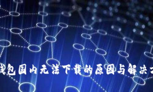 TP钱包国内无法下载的原因与解决方案