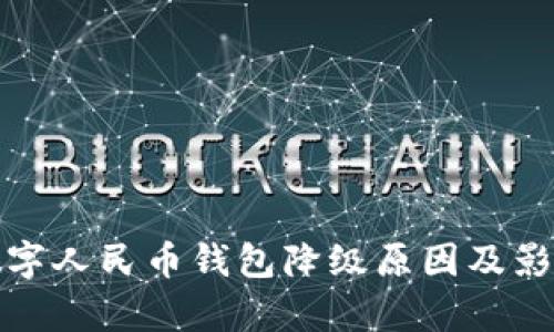 建行数字人民币钱包降级原因及影响解析