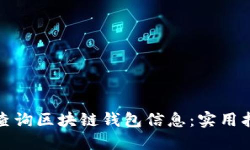 如何高效查询区块链钱包信息：实用指南与技巧