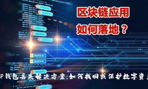 TP钱包丢失解决方案：如何找回或保护数字资产