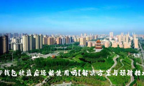 TP钱包被盗后还能使用吗？解决方案与预防措施