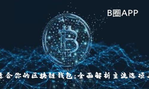 如何选择适合你的区块链钱包：全面解析主流选项与使用技巧