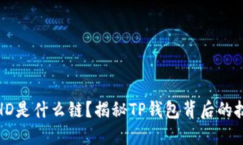 TP钱包的HD是什么链？揭秘TP钱包背后的技术与优势