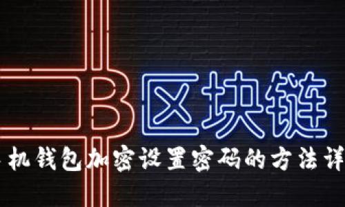 手机钱包加密设置密码的方法详解