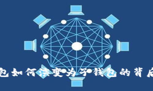 TP身份钱包如何演变为子钱包的背后原因分析