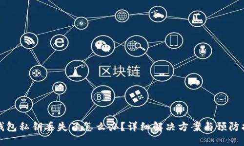 TP钱包私钥丢失了怎么办？详细解决方案与预防指导