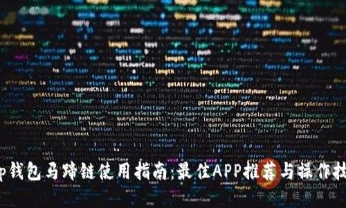 t p钱包马蹄链使用指南：最佳APP推荐与操作技巧