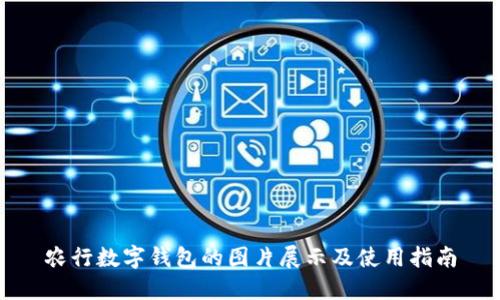 农行数字钱包的图片展示及使用指南