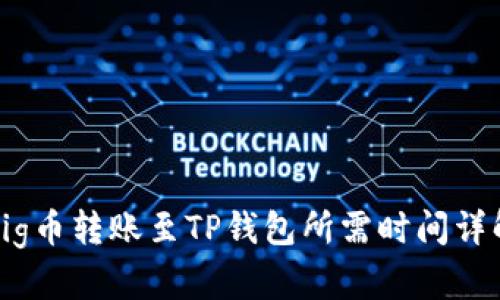 Pig币转账至TP钱包所需时间详解