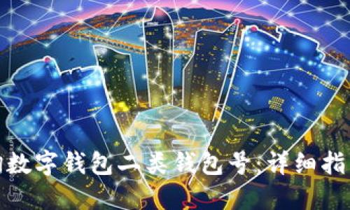 如何查询数字钱包二类钱包号：详细指南与步骤