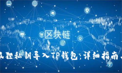 如何将小狐狸私钥导入TP钱包：详细指南与步骤解析