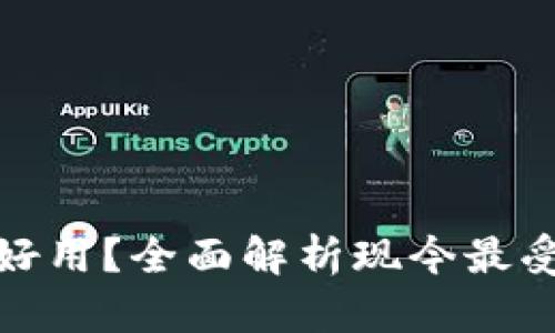 数字钱包选哪个好用？全面解析现今最受欢迎的数字钱包