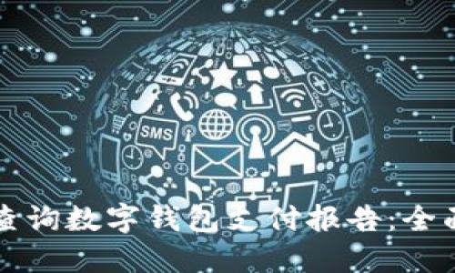 如何查询数字钱包支付报告：全面指南