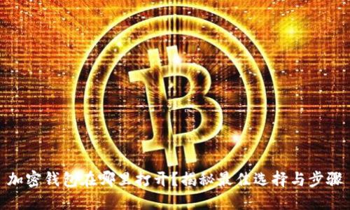 加密钱包在哪里打开？揭秘最佳选择与步骤